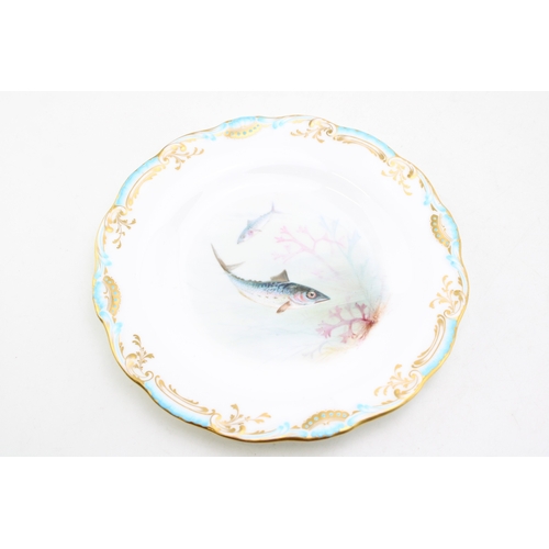 362 - Minton cabinet plate hand-painted decoration of Atlantic Mackerel, gilt decoration or rim, 23cm diam... 