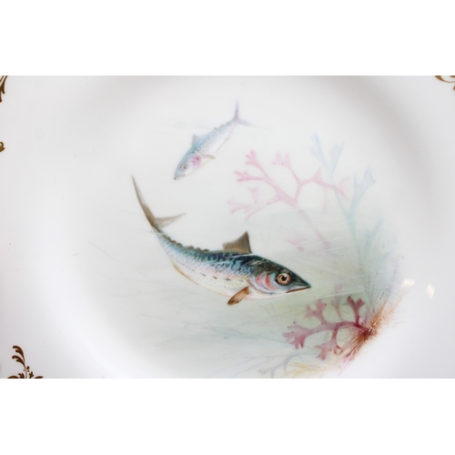362 - Minton cabinet plate hand-painted decoration of Atlantic Mackerel, gilt decoration or rim, 23cm diam... 