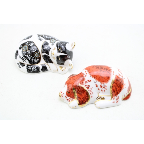 62 - Royal Crown Derby paperweights of a Puppy and Misty, first quality with gold stoppers (2).