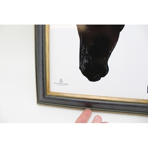 64 - Boxed Royal Crown Derby Equus horse plaque, 37cm x 47cm inc frame.