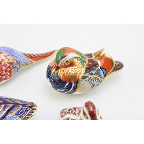 221 - A Royal Crown Derby paperweight, Pheasant, for the Royal Crown Derby Collectors Guild, date code for... 