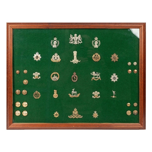 Lot 15        