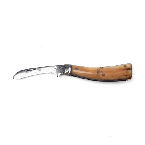 231 - A Sutton & Son antique flat cap pruning pocket knife, engraved with kettle, stag antler handle, blad... 