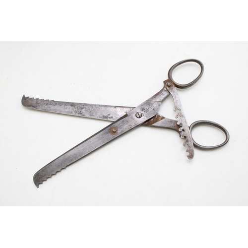 Rare Pair of 19th Century Pike Disgorger or Unhooking Scissors by J Gibbins & Sons Knife and Scissors Makers of Sheffield c1880