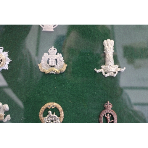 15 - A Framed Collection of British Army Cap Badges including Suffolk, Herefordshire, Royal Warwickshire,... 