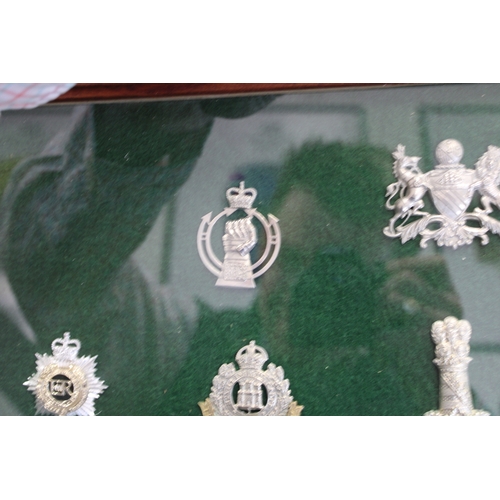 15 - A Framed Collection of British Army Cap Badges including Suffolk, Herefordshire, Royal Warwickshire,... 