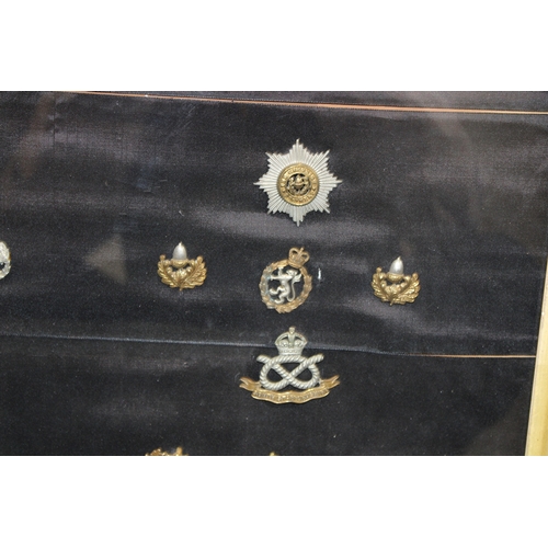 16 - A Framed Collection of British Army Cap Badges Including a Victorian North Staffordshire 1st Volunte... 