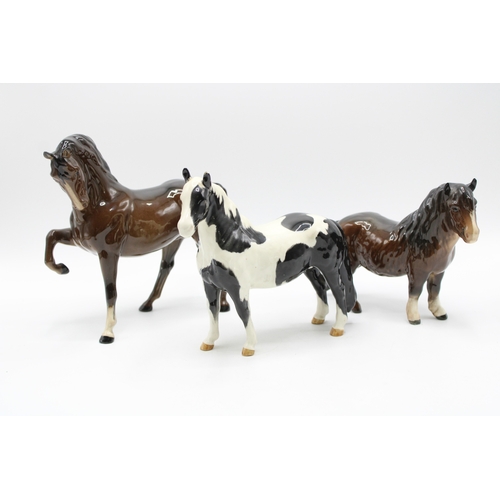 Lot 46        
