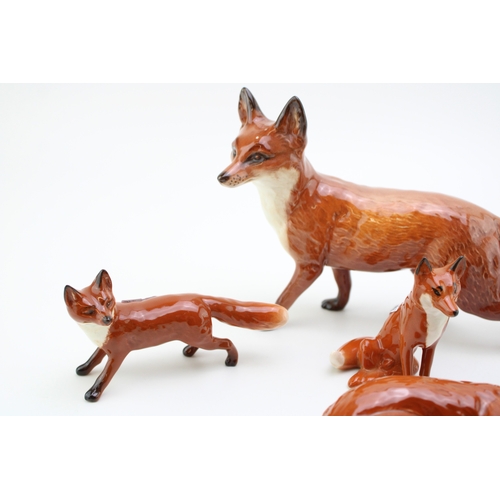 29 - A group of Beswick foxes to include large stalking fox (tail af), curled fox 1017, together with thr... 