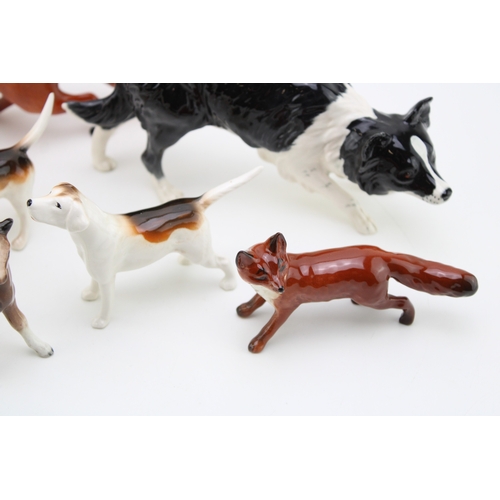 36 - Beswick to include a large standing fox, a large collie, 3 fox hounds, a small standing fox and a sm... 