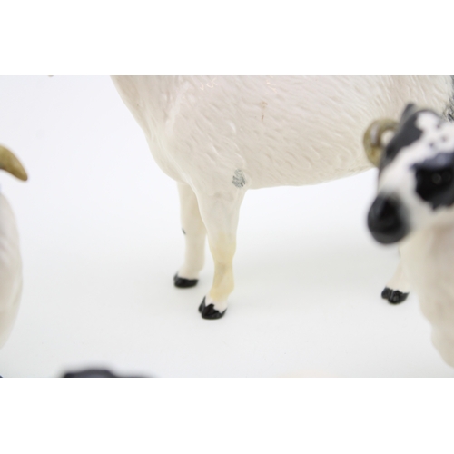 56 - Beswick to include two sheep with two lambs and a Nigerian goat (5).