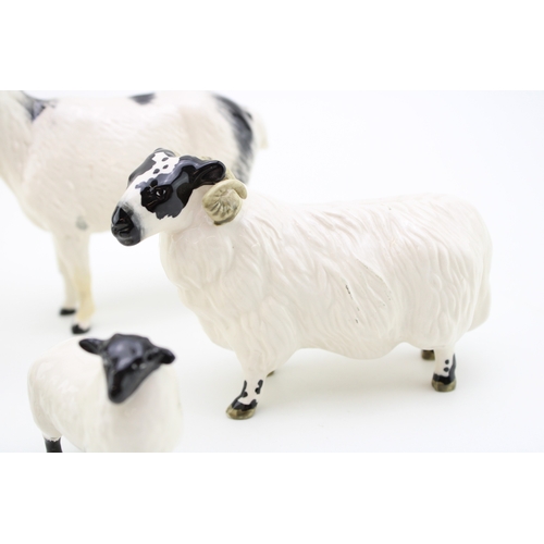 56 - Beswick to include two sheep with two lambs and a Nigerian goat (5).