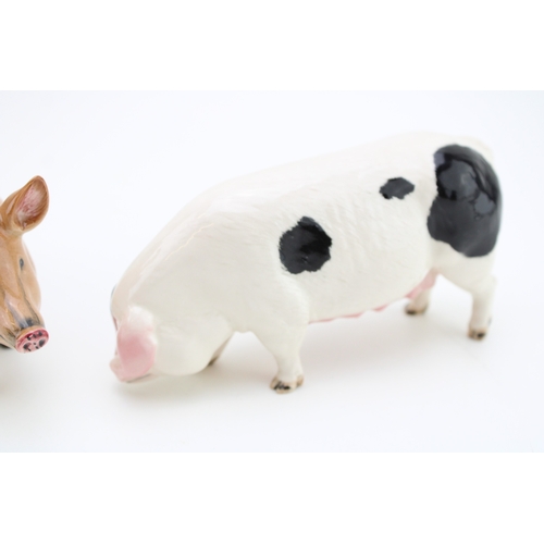 58 - Beswick pigs to include a Gloucester Old Spot G230 with a Tamworth pig (2 - both Doulton backstamps)... 
