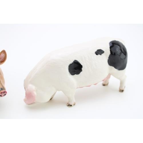58 - Beswick pigs to include a Gloucester Old Spot G230 with a Tamworth pig (2 - both Doulton backstamps)... 