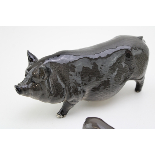 59 - Beswick pigs to include a Vietnamese pot bellied pig with two piglets and one other (4).