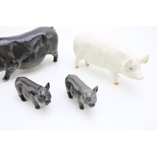59 - Beswick pigs to include a Vietnamese pot bellied pig with two piglets and one other (4).