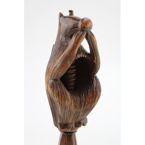 20A - 19th century fruitwood screw-action novelty nut cracker in the form of a squirrel, 17cm tall.