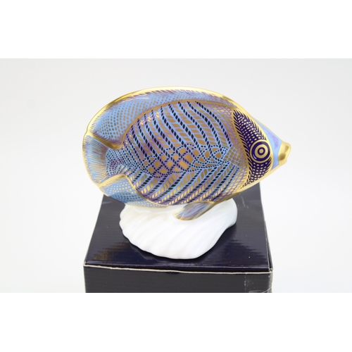349 - Royal Crown Derby paperweight, from the Tropical Fish Series, Chevroned Butterfly Fish, gold stopper... 