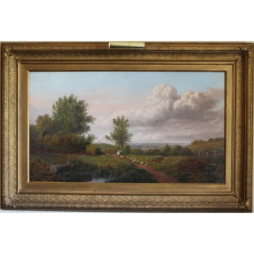 Lot 17        