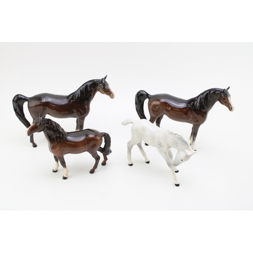 Lot 12        
