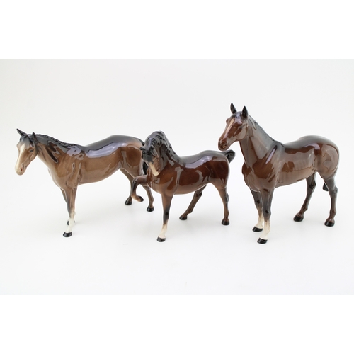 Lot 15        