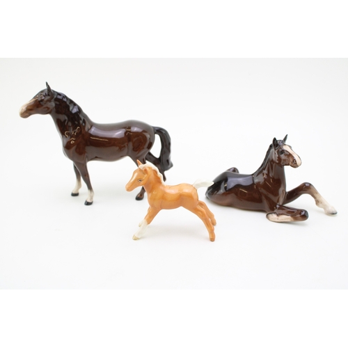 16 - Beswick to include a brown lying shire foal, a head up pony and a palomino foal (3).