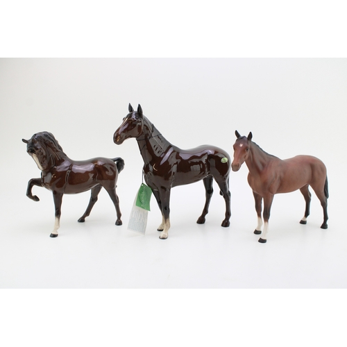Lot 20        