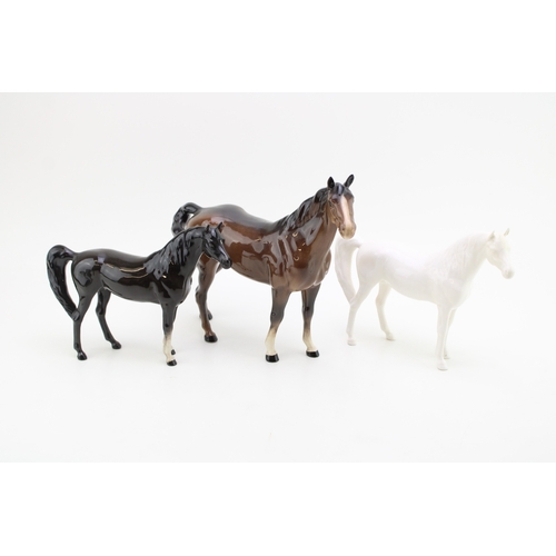 Lot 21        