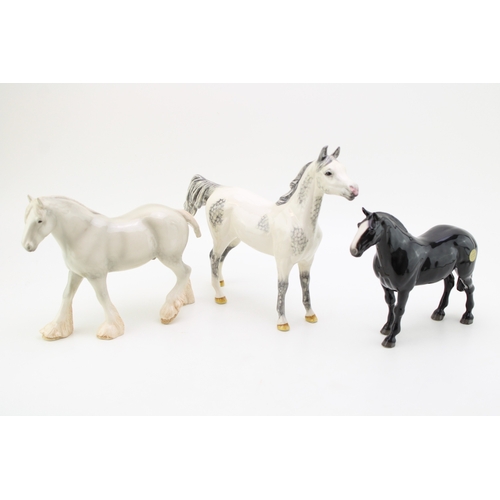 Lot 24        