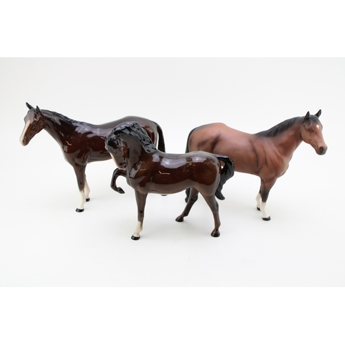Lot 41        