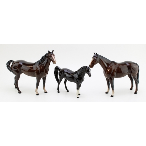Lot 43        