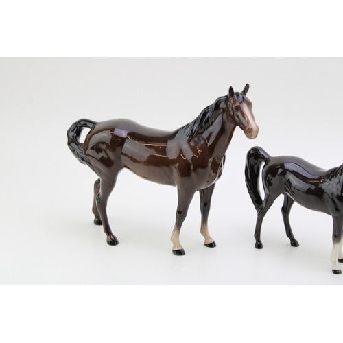 43 - Beswick brown horses to include a brown / charcoal arab xayal, a swishtail and an imperial (3).