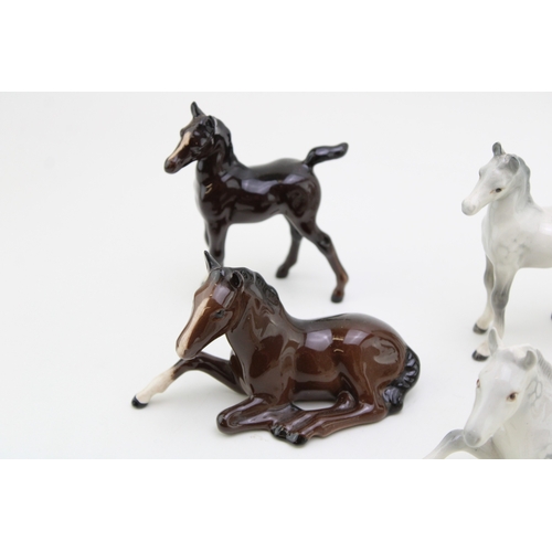 49 - A collection of eight Beswick foals of varying colours and models (8).