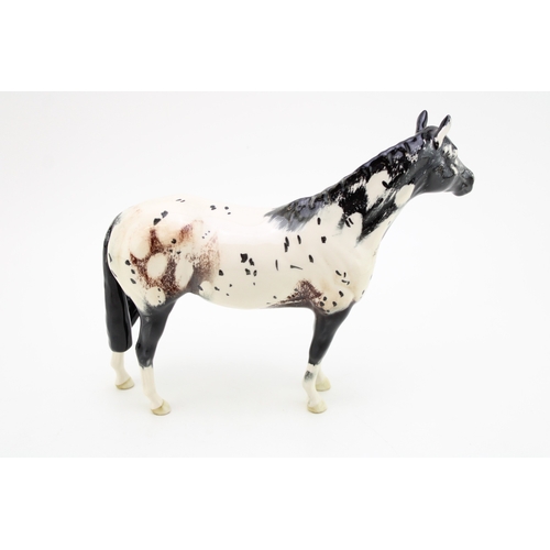 5 - Beswick Appaloosa.