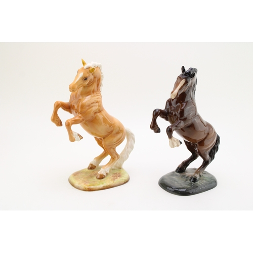 Lot 53        