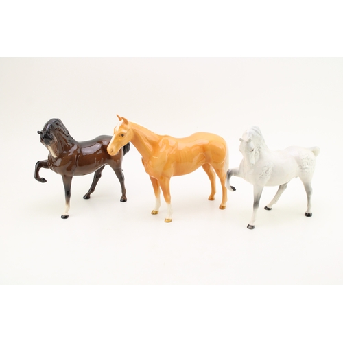 Lot 54        