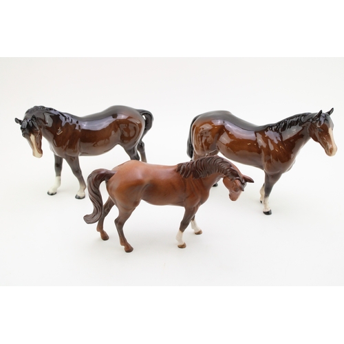 Lot 55        