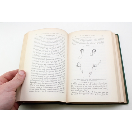 18 - The Power of Movement in Plants By Charles Darwin Published by John Murray London First Edition 1880