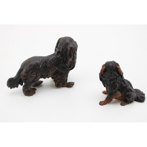 4 - A cold painted bronze figure of a Cavelier King Charles Spaniel, in standing pose, 5.5cm high, appar... 