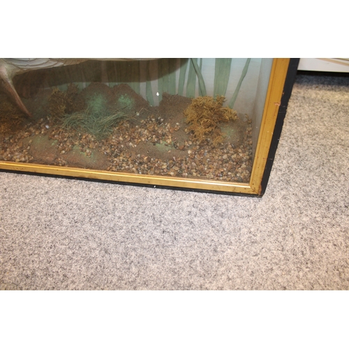 48 - A cased taxidermy pike, in naturalistic setting, skin mounted example c1900, in gilt flat fronted fr... 