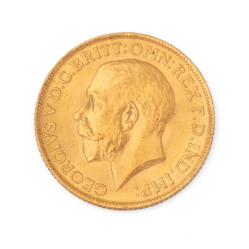 Lot 5         