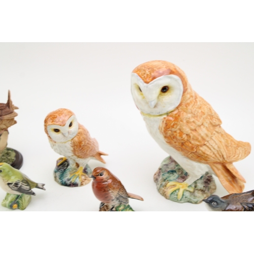 309 - Beswick birds to include a large barn owl, a smaller barn owl, a whitethroat, a robin and a goldcres... 