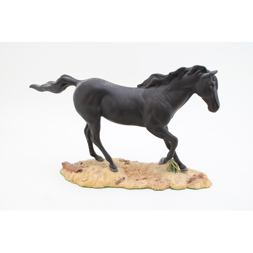 Lot 337       