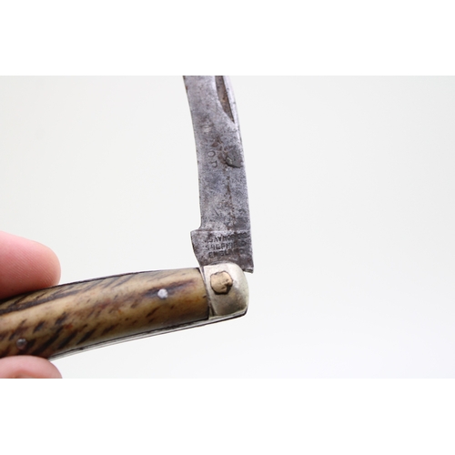 10 - W Saynor flat cap pruner pocket knife with stag handles and brass end cap, blade 5.5cm long, 16cm in... 