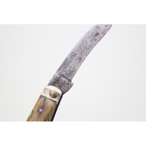 10 - W Saynor flat cap pruner pocket knife with stag handles and brass end cap, blade 5.5cm long, 16cm in... 
