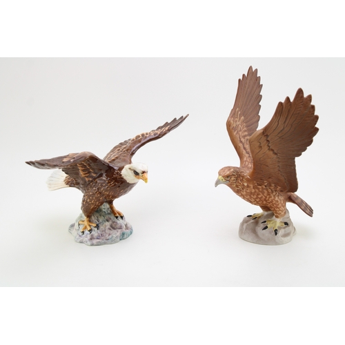 Lot 215       