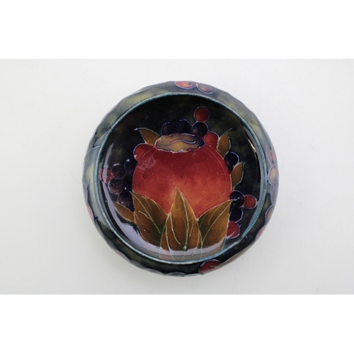 Lot 244       