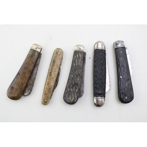 45 - A collection of five Sheffield made bone handle single blade folding pocket knives (5).