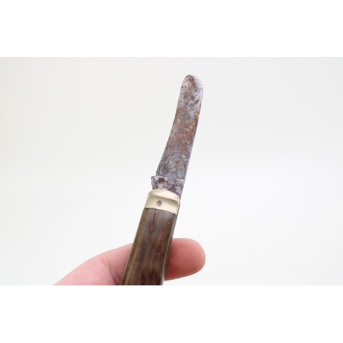 45 - A collection of five Sheffield made bone handle single blade folding pocket knives (5).