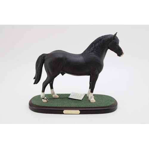 Lot 307       